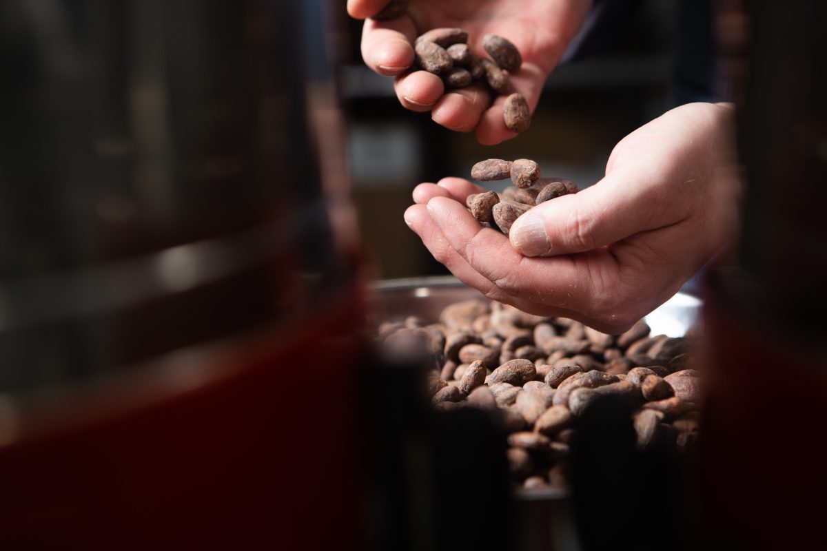 Sorting Cocoa Beans